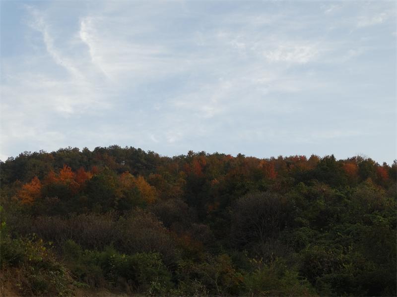dsc04056_ͼ.jpg