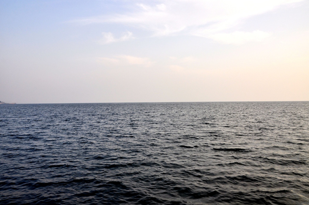 _dsc0807.jpg