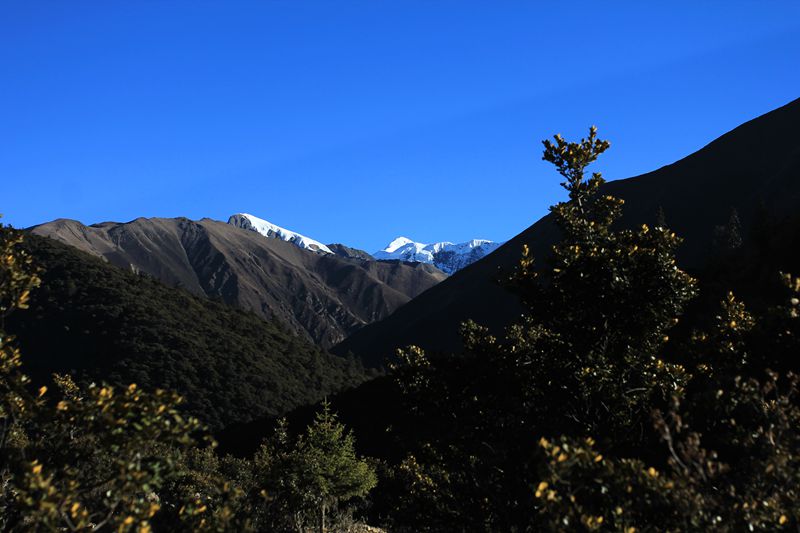 img_9060.jpg