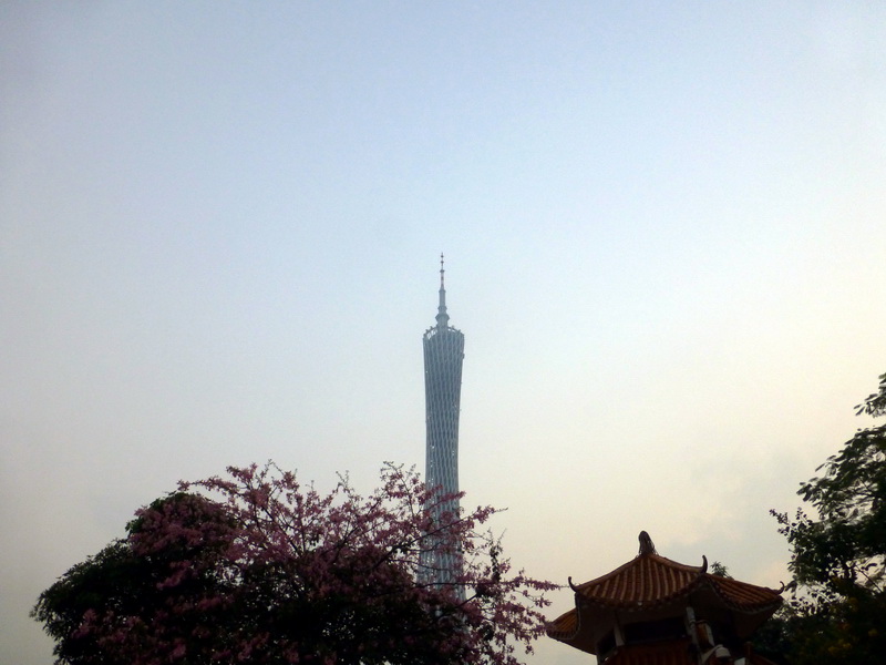p1290200.jpg