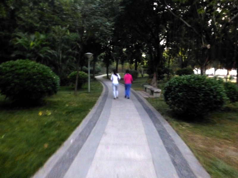 p1290276.jpg