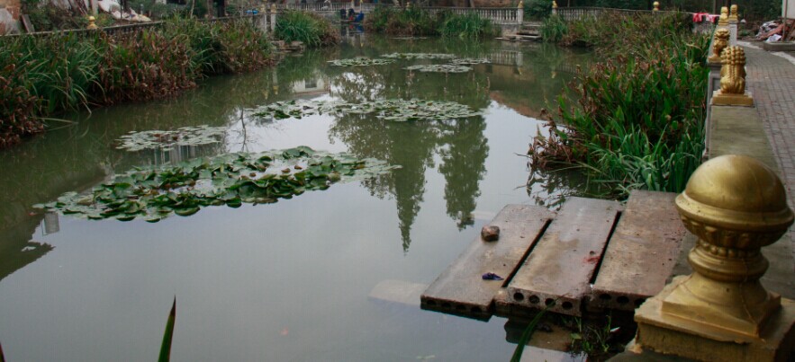 07.jpg