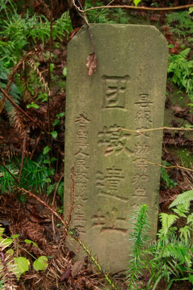 06.jpg