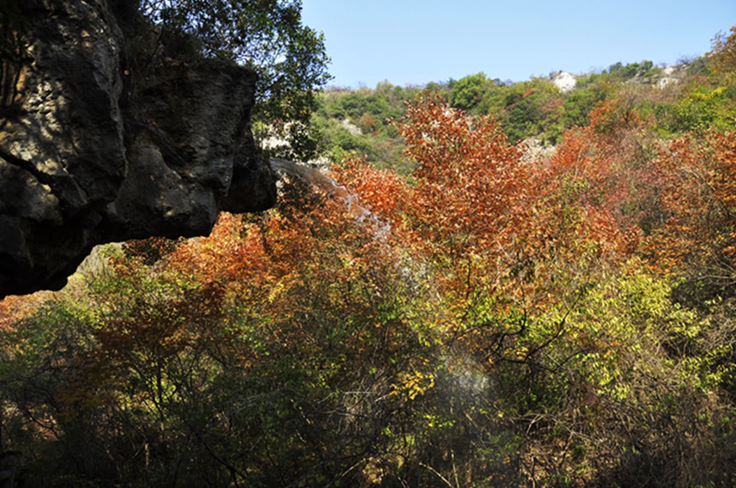 _dsc0189.jpg