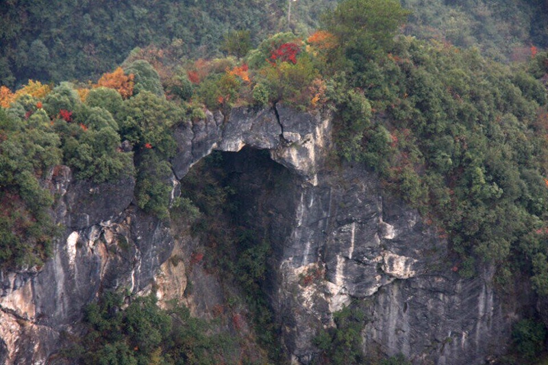 qq图片20141117174740_副本.jpg