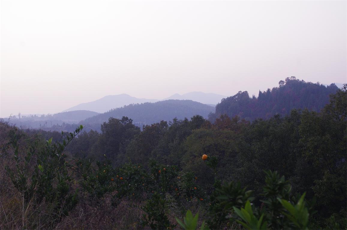 _igp8112.jpg