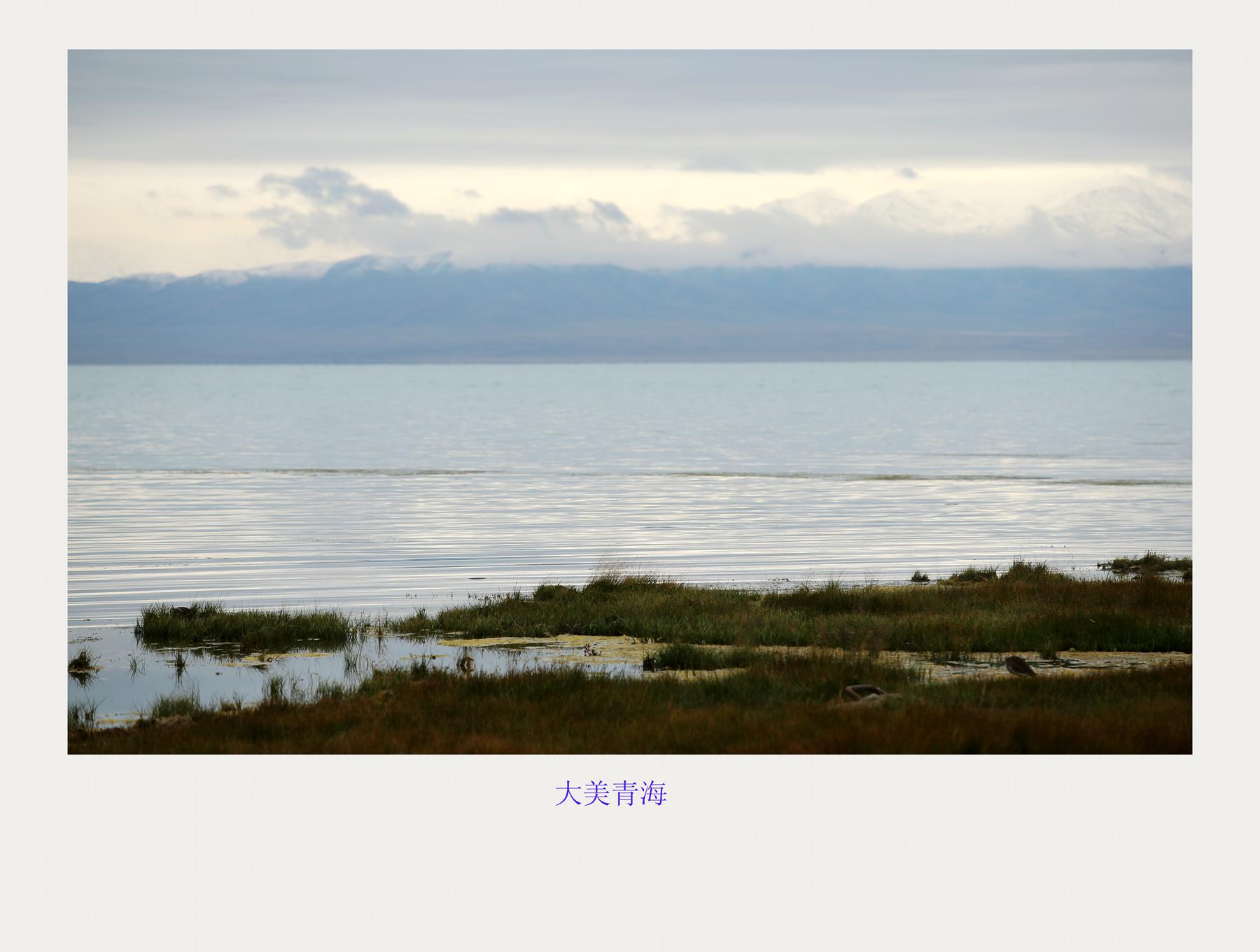 bw3p6670_.jpg