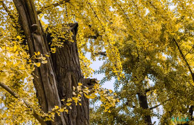 _mg_3622.jpg