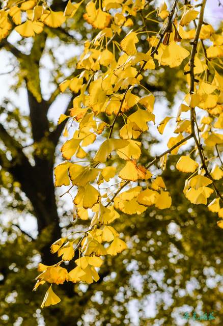 _mg_3633.jpg