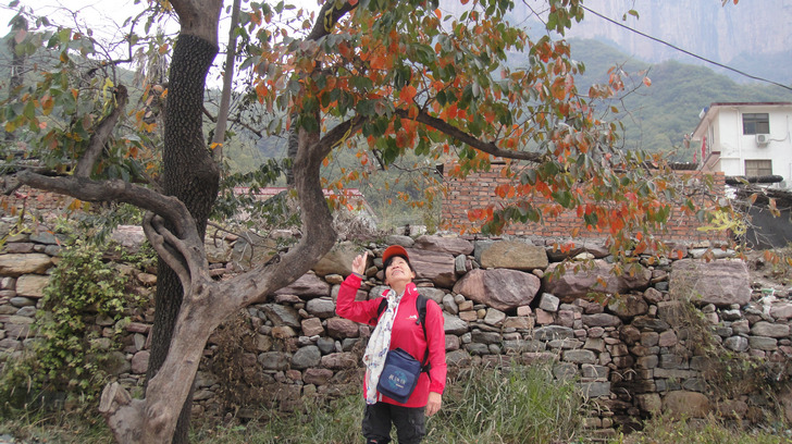 dsc08706.jpg