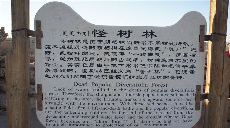 dsc03530_.jpg
