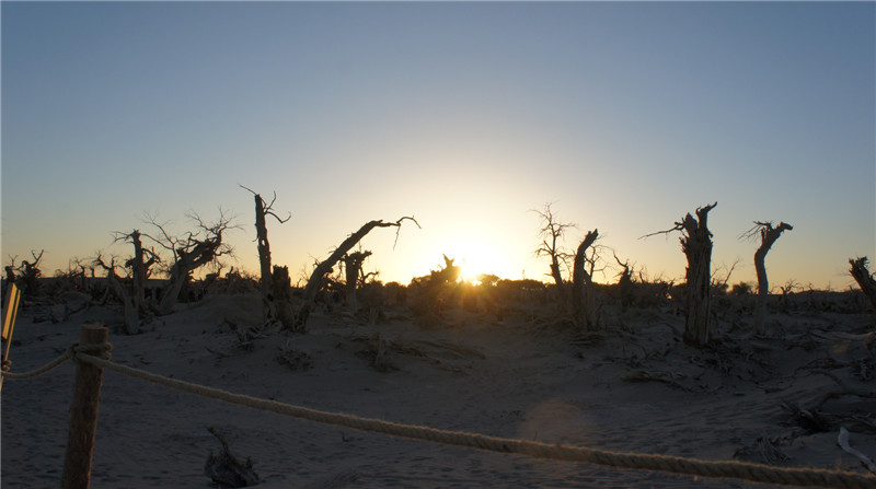 dsc03595_.jpg