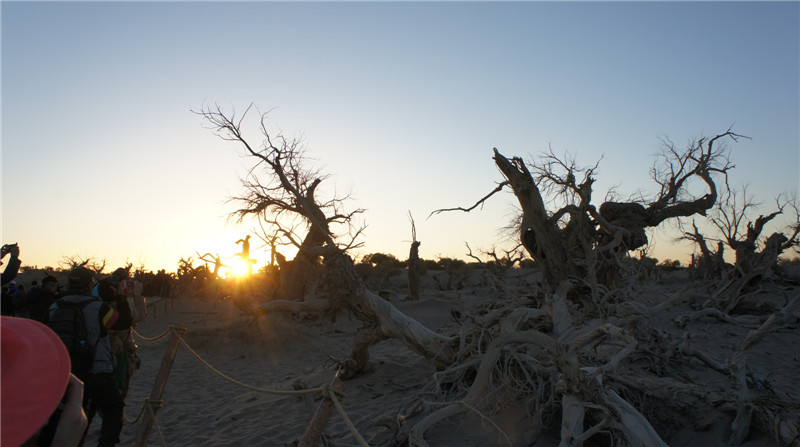dsc03599_.jpg