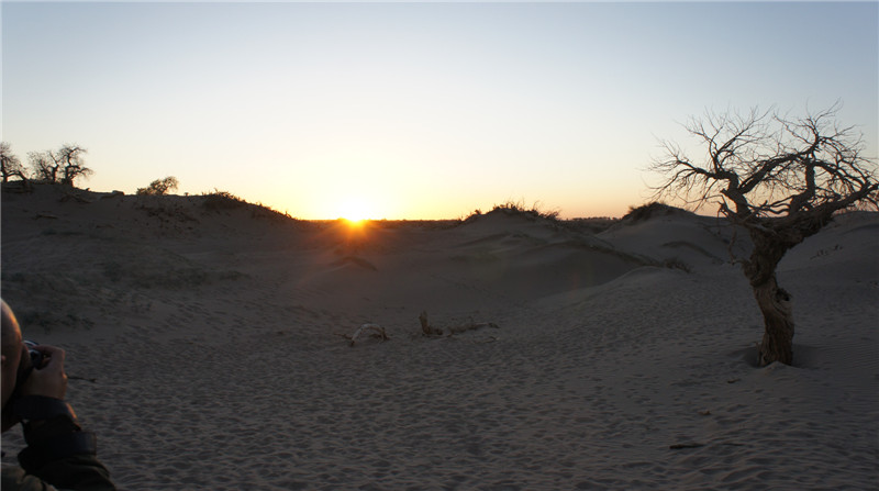 dsc03617_.jpg