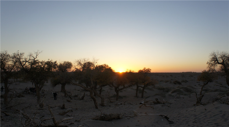 dsc03622_.jpg
