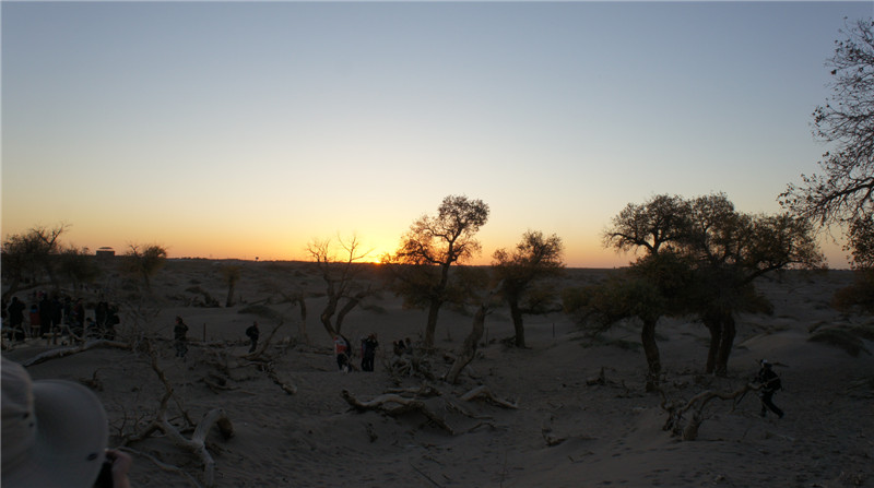 dsc03624_.jpg