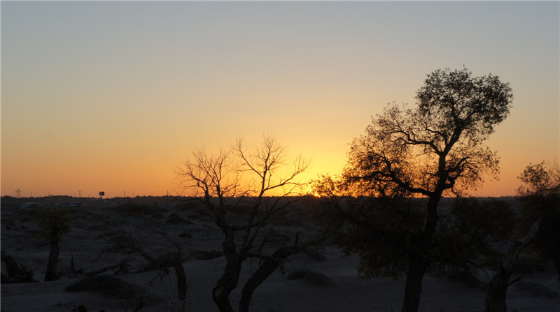 dsc03625_.jpg