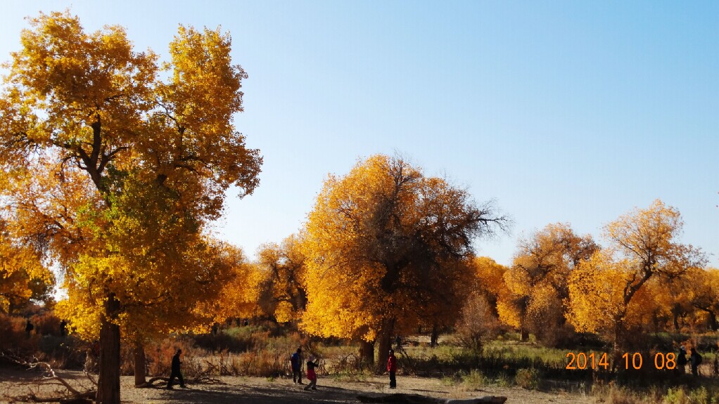 qq图片20141103081730.jpg
