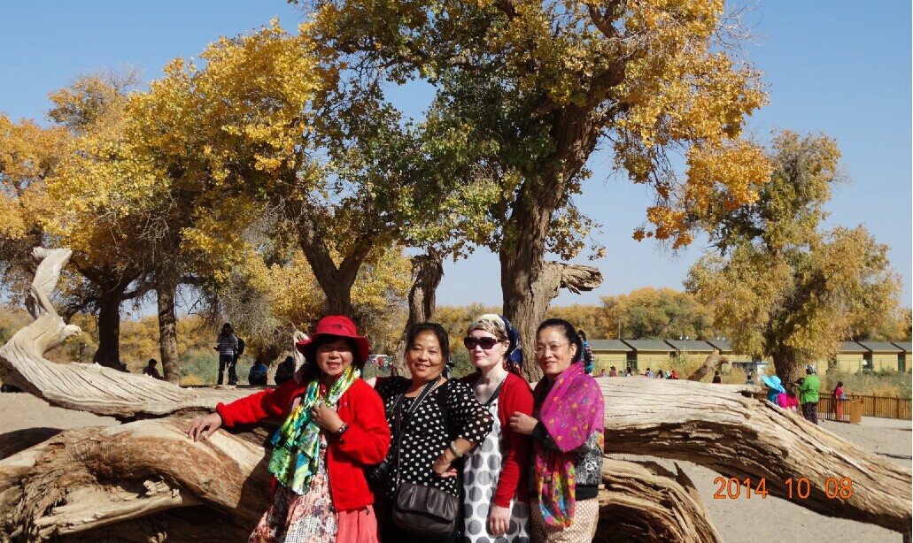 qq图片20141103095758.jpg