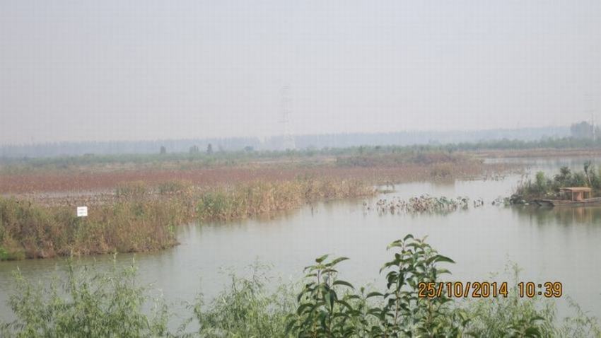 113245fx0cf5fbb24zgax5.jpg.thumb.jpg