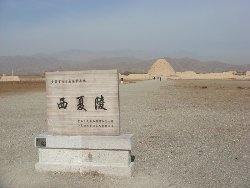 dsc08884_副本.jpg