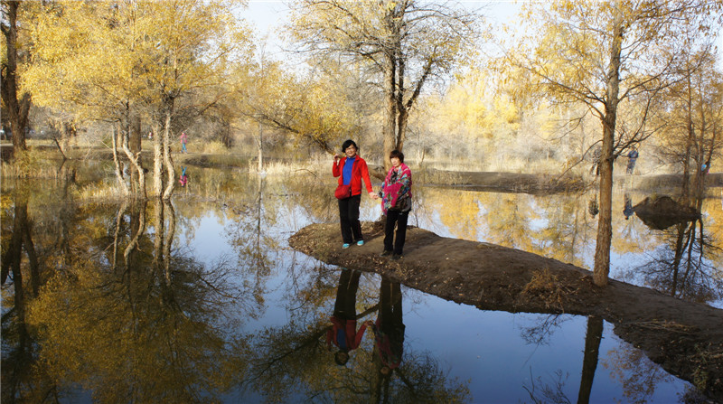 dsc03331_副本.jpg