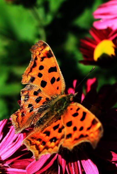 img_9051_缩小大小.jpg