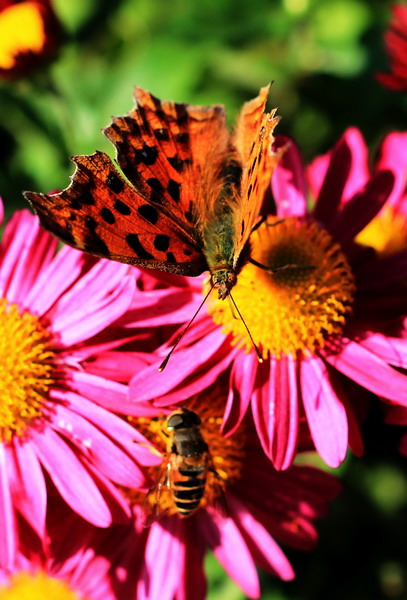 img_9044_缩小大小.jpg