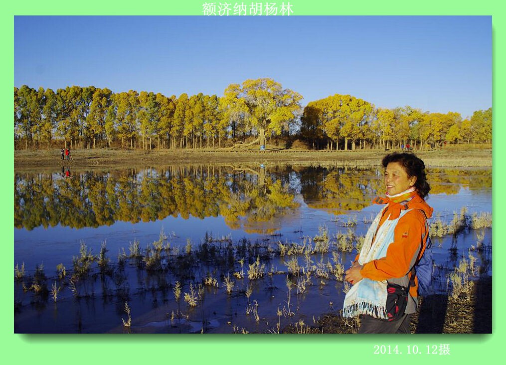 qqͼƬ20141107204154.jpg