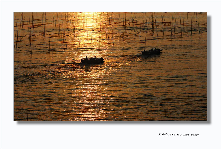 img_9740,.jpg
