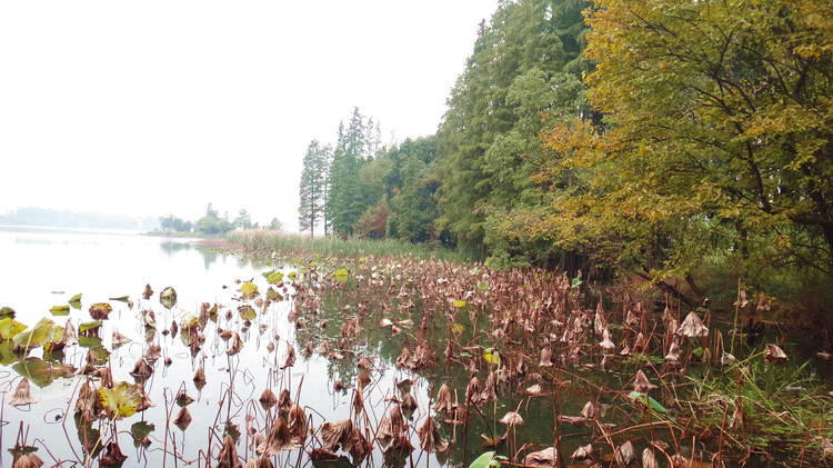 落雁景区001.jpg