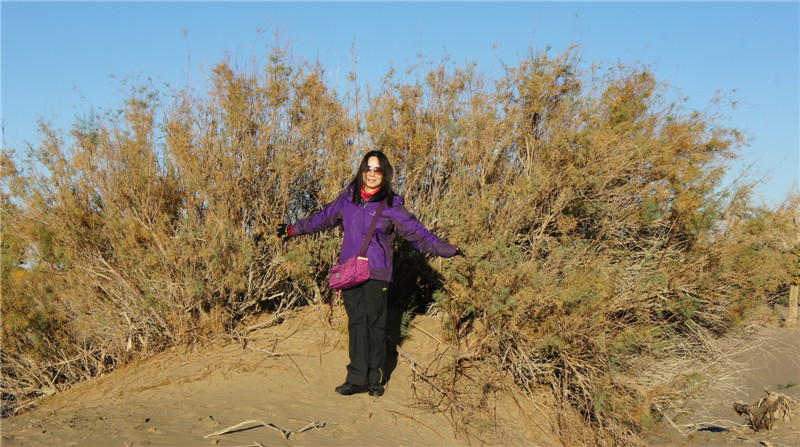 dsc04014_副本.jpg