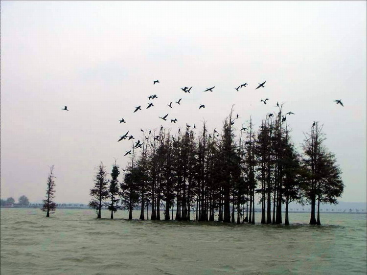 以前拍的落雁景区001.jpg