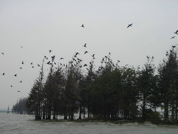 以前拍的落雁景区002.jpg