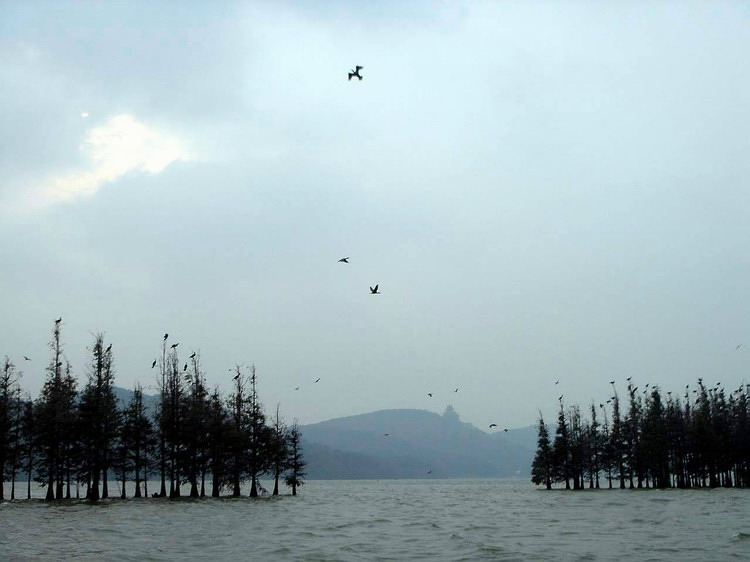 以前拍的落雁景区003.jpg