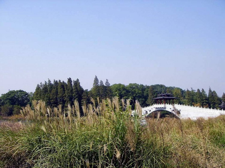 以前拍的落雁景区006.jpg