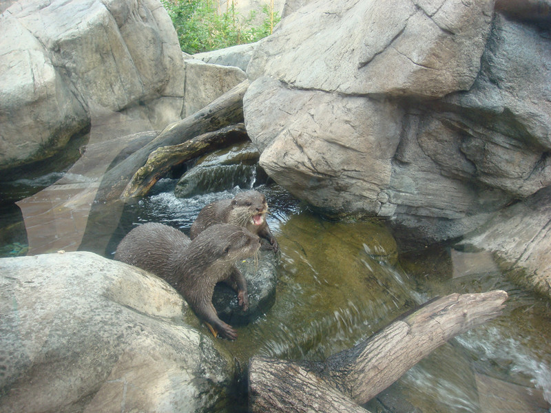 dsc09960_.jpg