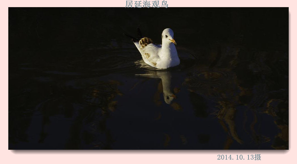 _igp3025_2345看图王.jpg