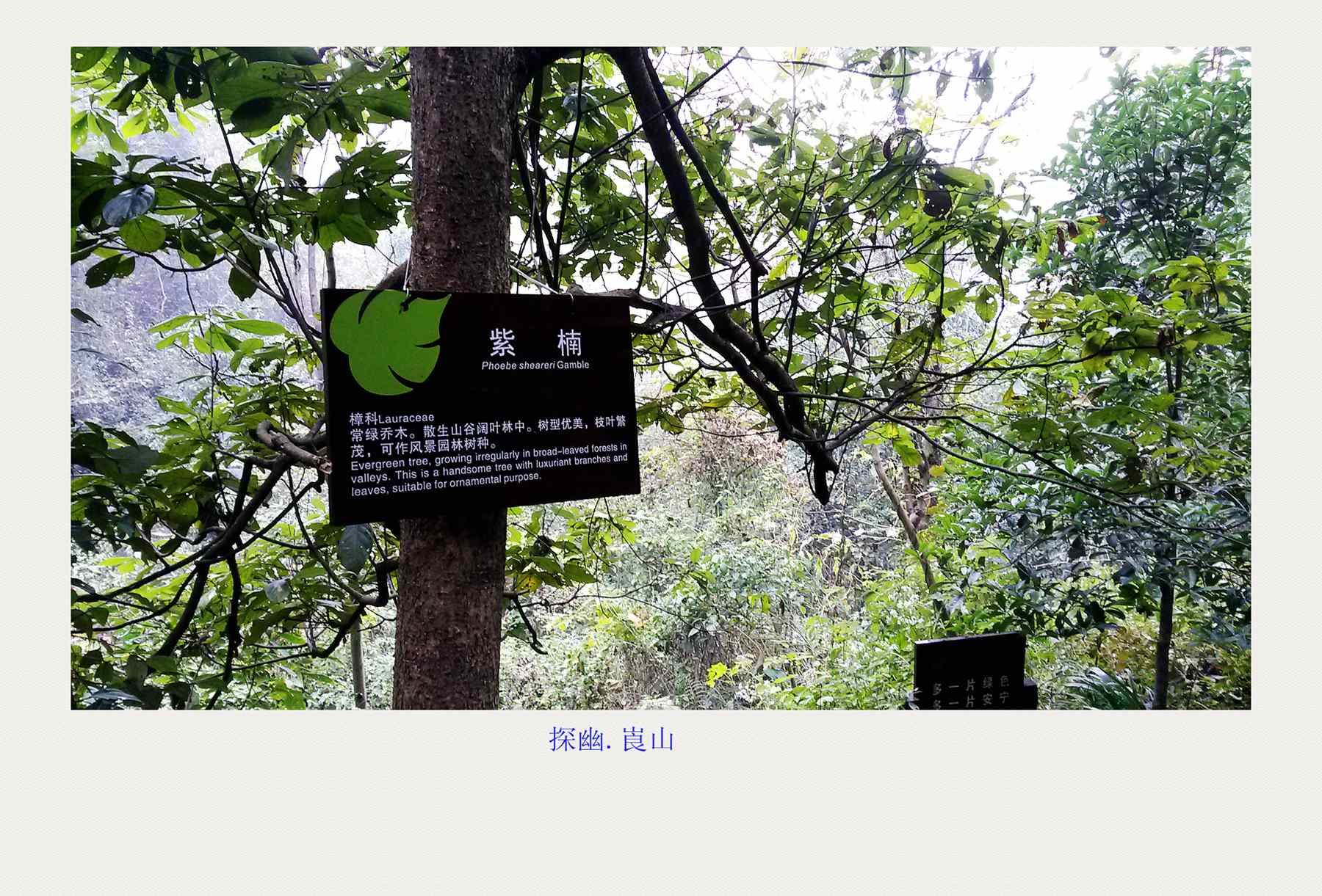 20141117_150845(1)_.jpg