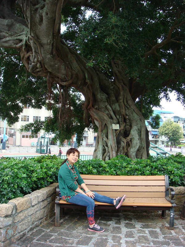 dsc00023_.jpg