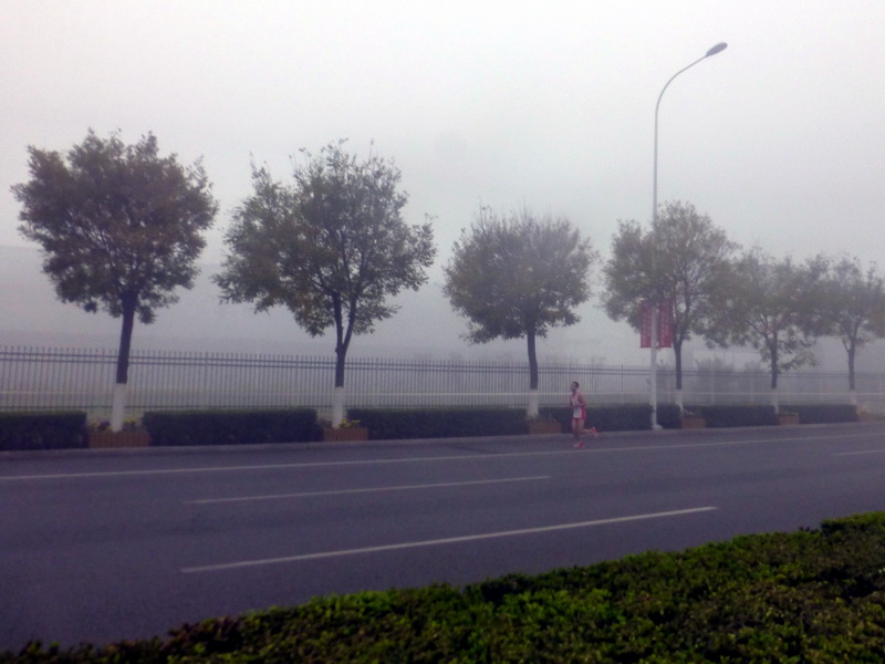 p1270536.jpg