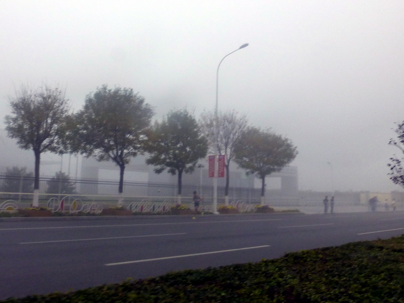 p1270537.jpg