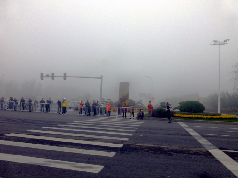 p1270544.jpg