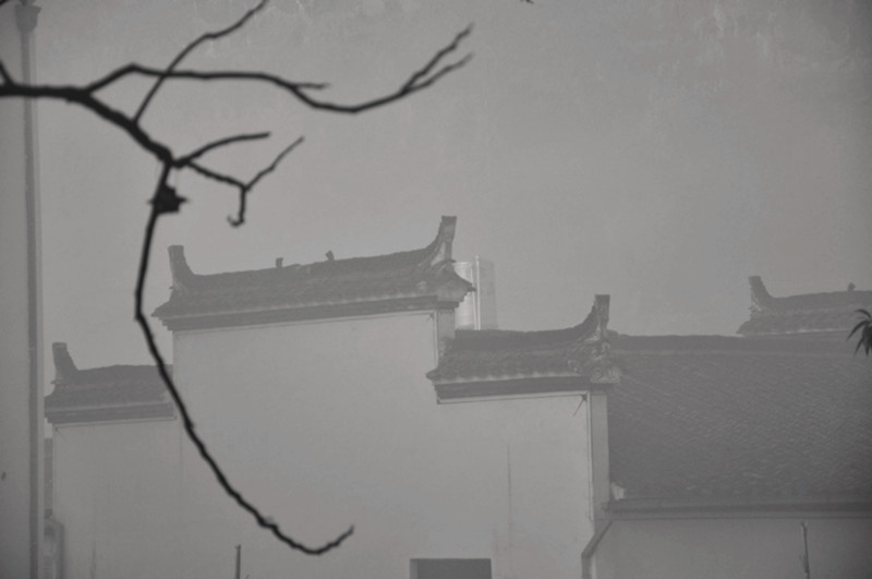照片 177.jpg