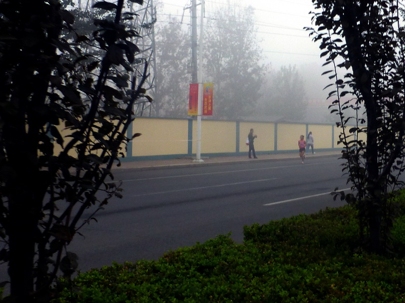 p1270546.jpg