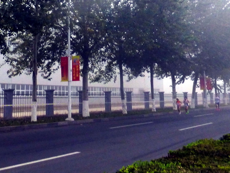 p1270549.jpg