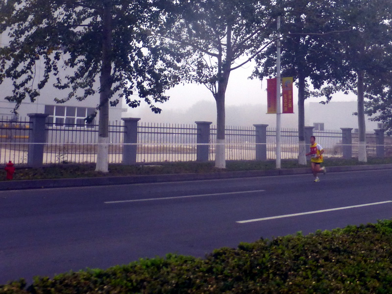 p1270550.jpg