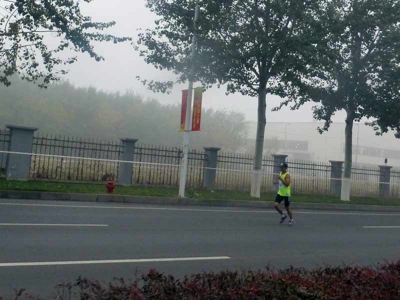 p1270552.jpg