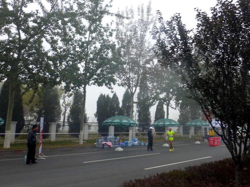 p1270565.jpg