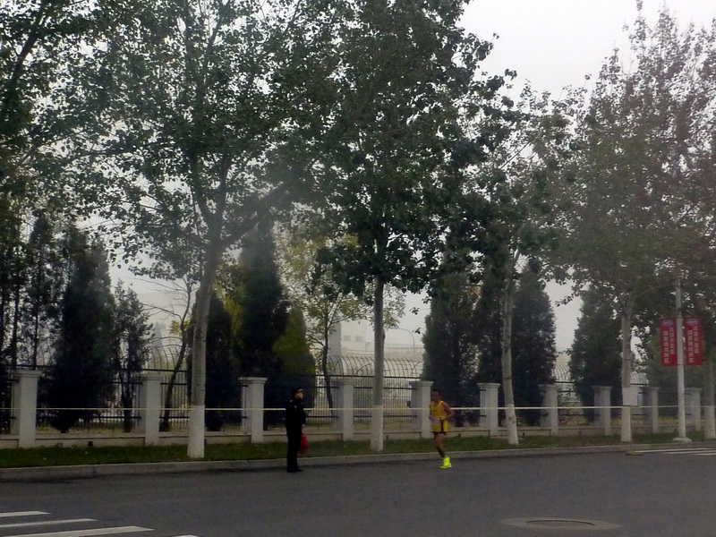 p1270570.jpg